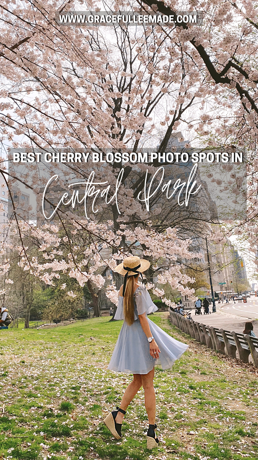 Best Cherry Blossom Photo Spots in Central Park — Gracefullee Made